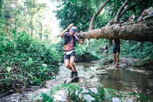 BIB: 
                            <button type="button" onclick="openModal(25434729)" class="btn btn-primary btn-sm float-right btn-popup" data-toggle="modal" data-target=".modal-high-quality">
                        <i class="fas fa-shopping-cart"></i> Add to Cart
                    </button>
                                            <button type="button" onclick="isThisMe(25434729, true)" class="btn btn-success btn-sm float-right btn-popup btn-isme hidden" data-toggle="tooltip" data-placement="bottom" title="นี่คือรูปของคุณใช่ไหม คลิกที่นี่เพื่อเอาเข้าอัลบั้ม">
                        <i class="fas fa-plus"></i> Add to album
                    </button>
                    <button type="button" onclick="isThisMe(25434729, false)" class="btn btn-warning btn-sm float-right btn-popup btn-isnotme hidden">
                        <i class="fas fa-ban"></i> Remove from album
                    </button>